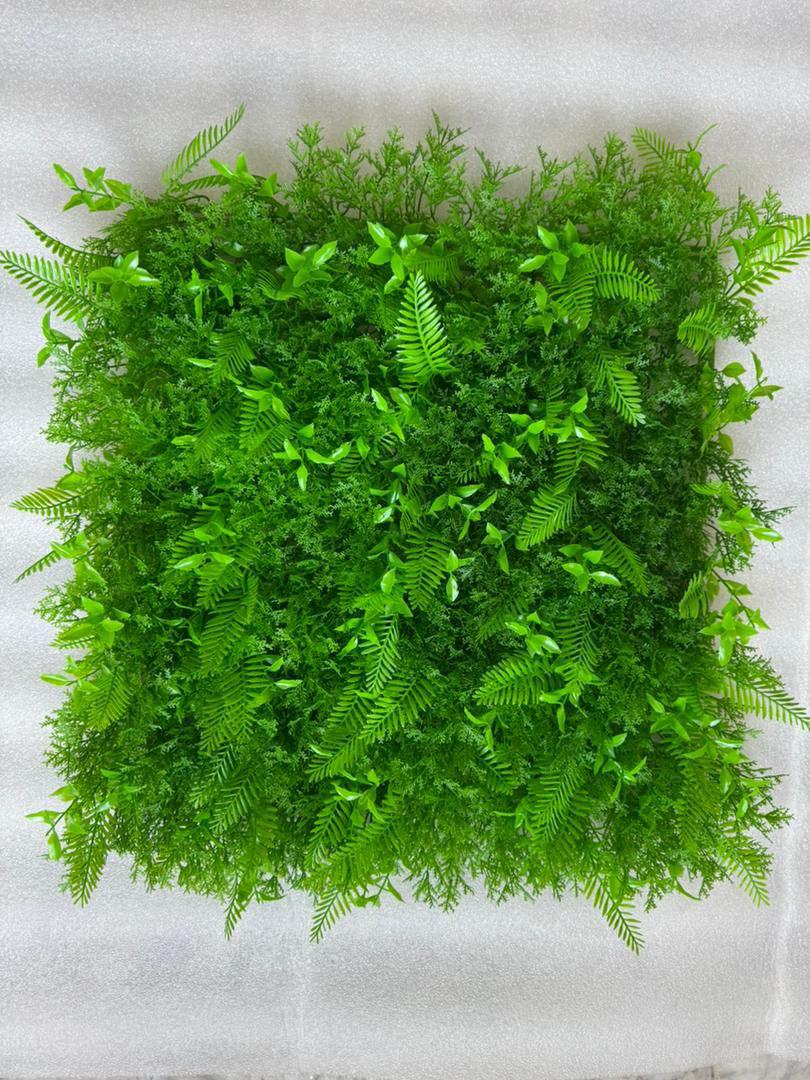 گرین وال سیکاس کاج 50*50