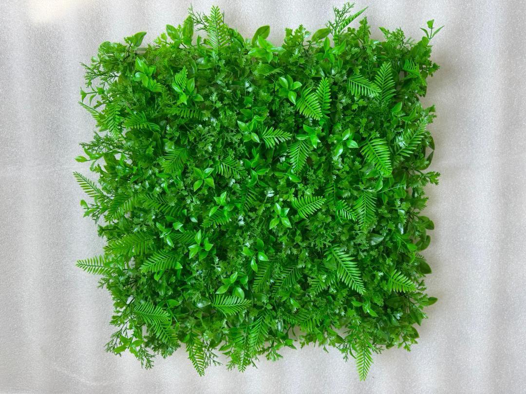 گرین وال سیکاس گشنیز 50*50