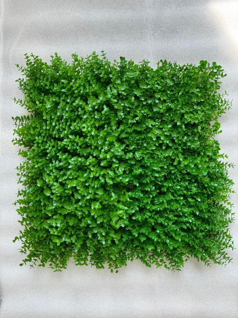 گرین وال شمشاد گلریز 50*50